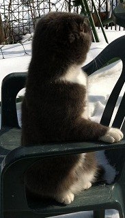 Станислав Чекланов Юрьевич | Домодедово