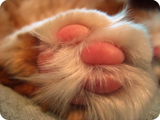 Анастасия Логинова | Москва