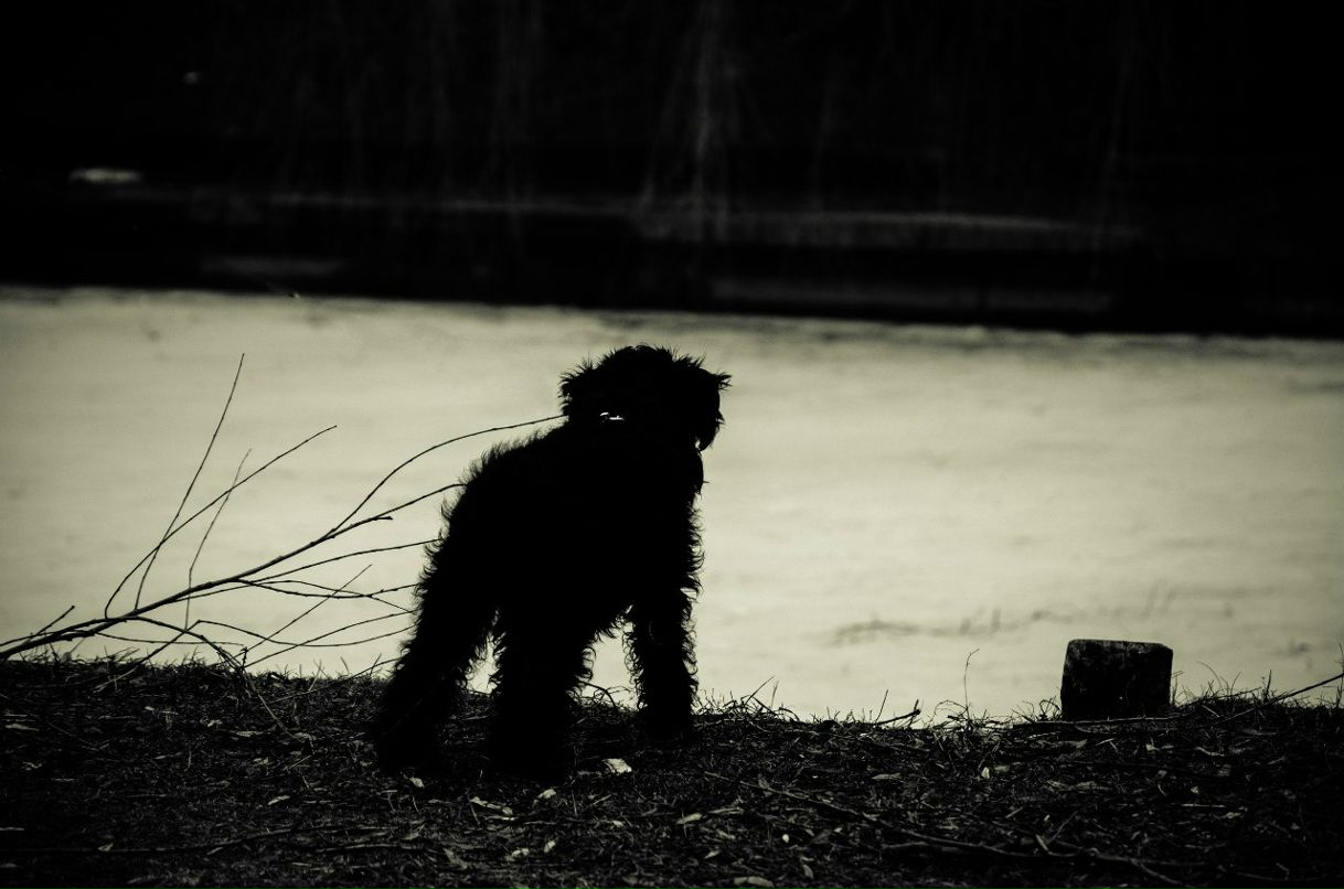 Павел Петрович | Минск