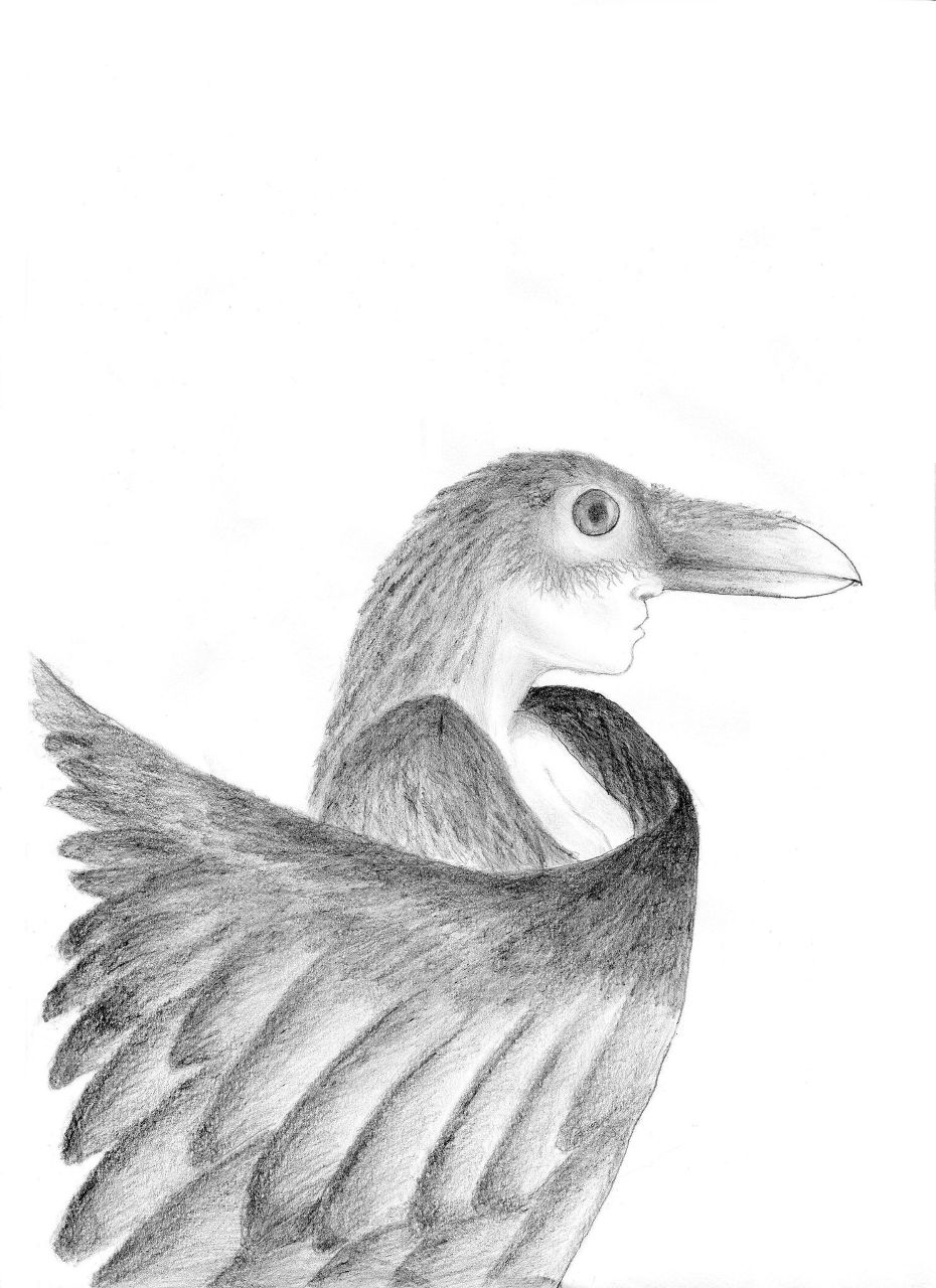 Роман Шиманский Пересмешник | Киев