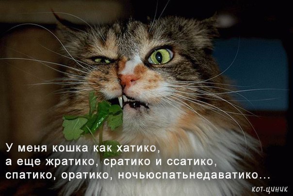 Наталия Петрова(Сахарова) | Москва