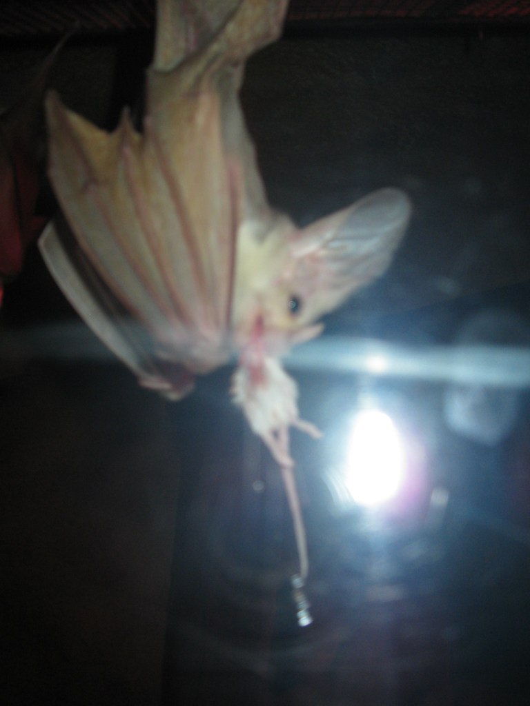 Олжик Аманбаев | Алматы