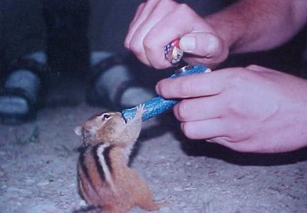 Слава Чех | Тольятти