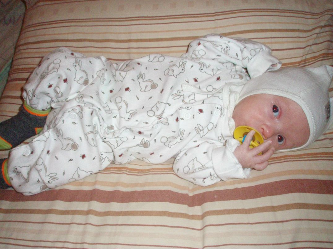 Олена Кравець | Яворов