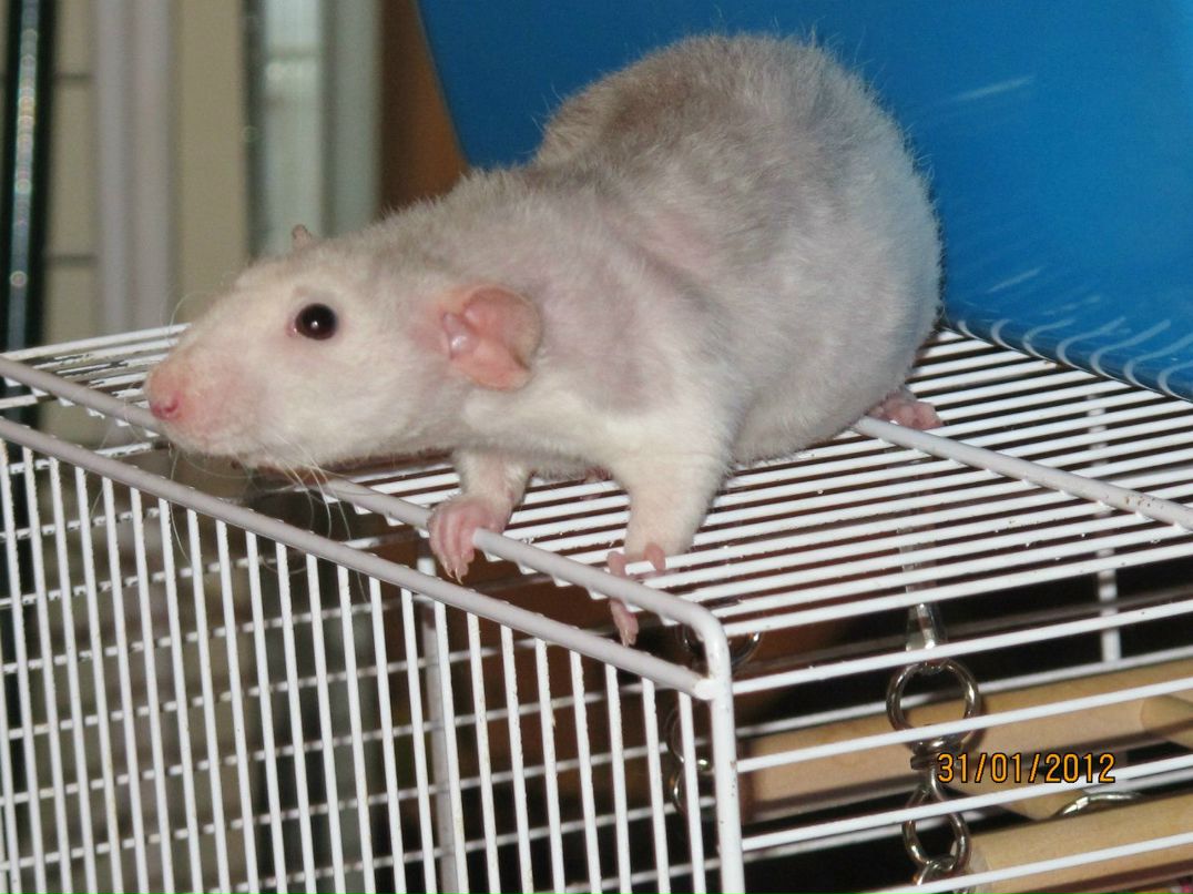 Анастасия Кучукова Zam-Zam | Москва