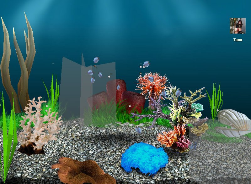 Вячеслав Шудря | Москва