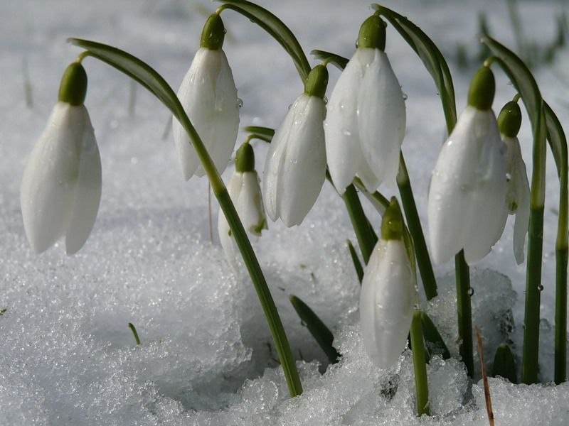 Анастасия Скрундь | Алматы