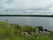 Фотография Галина Белоусова