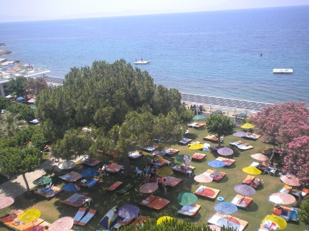 Даниил Весников Александрович | Днепр (Днепропетровск)