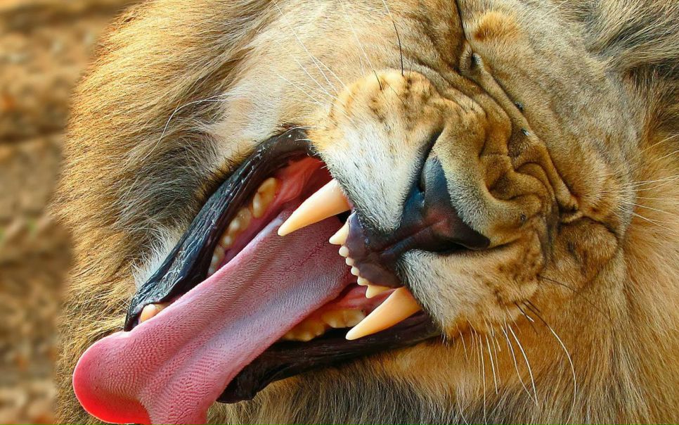 №32, Vasiliy Maksimenko, 41 год, Славутич №32, Vasiliy Maksimenko, 41 год, Славутич