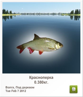 Олександр Лінчук kipo | Луцк