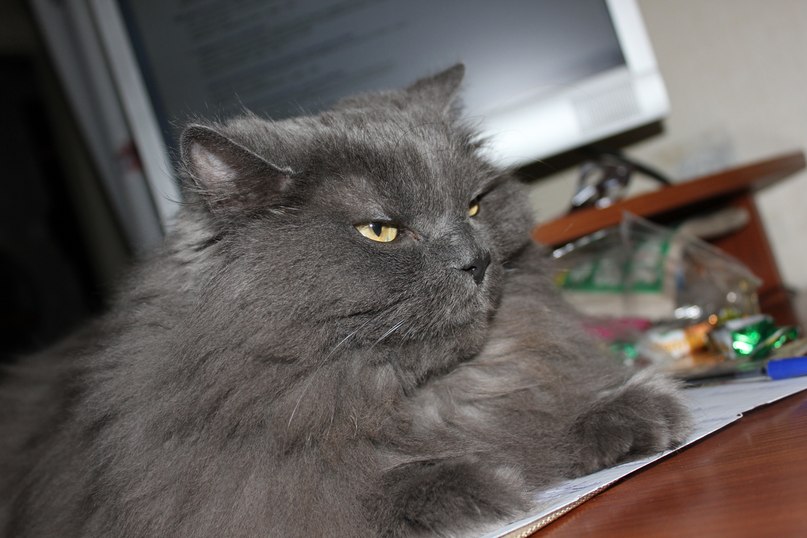 Анна Ермолаева | Екатеринбург