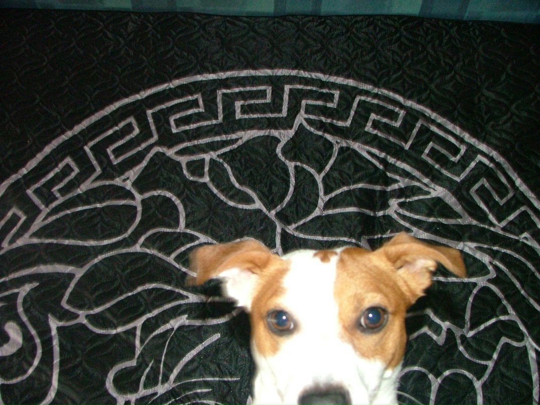 Евгений Артемов | Москва