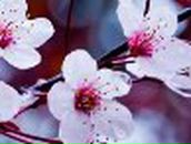 Гузель Ишмаева | Уфа