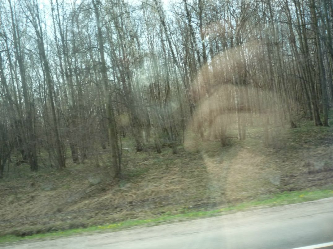 Настя Цыркина | Москва