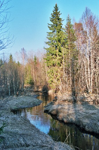 Марсель Шаймарданов | Зеленодольск