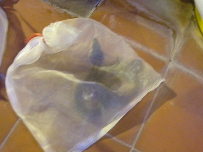 Евгений Каневский | Москва