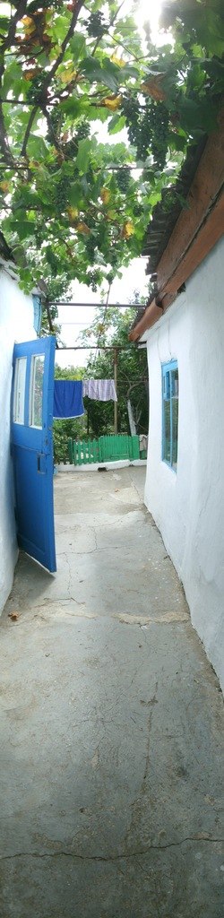 Никита Петров | Санкт-Петербург