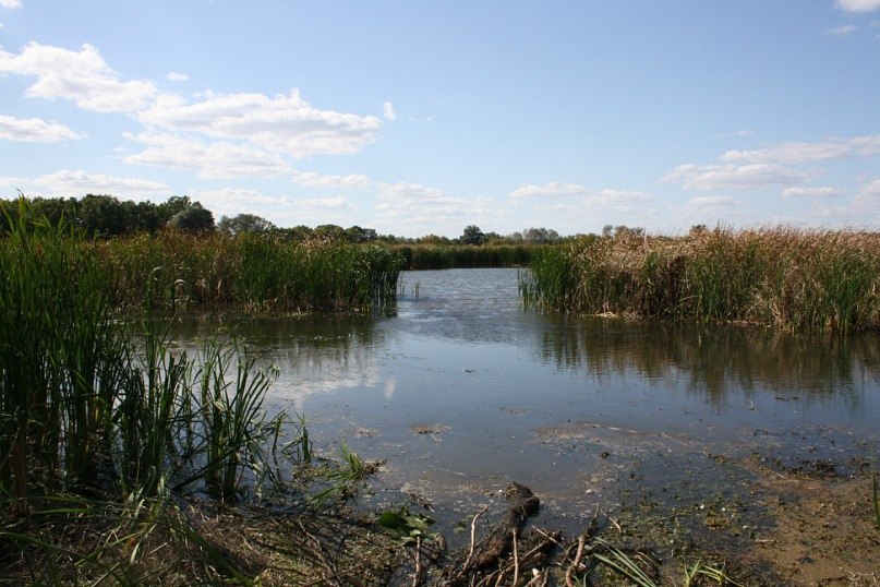 Маргарита Иванова | Москва