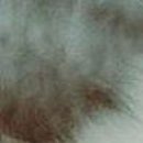 №151, Виталина Мач, Харьков №151, Виталина Мач, Харьков