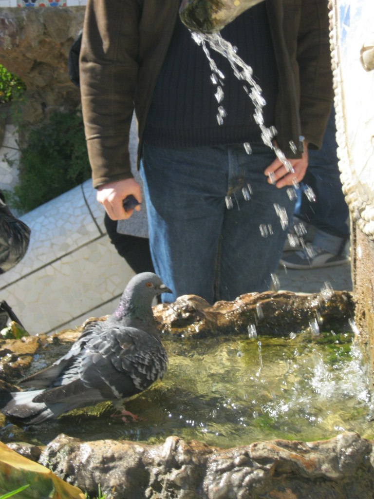 Евгений Козырин | Екатеринбург