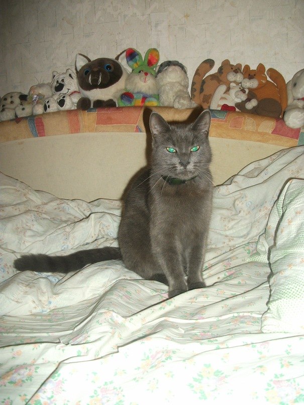 Марина Иванова | Москва