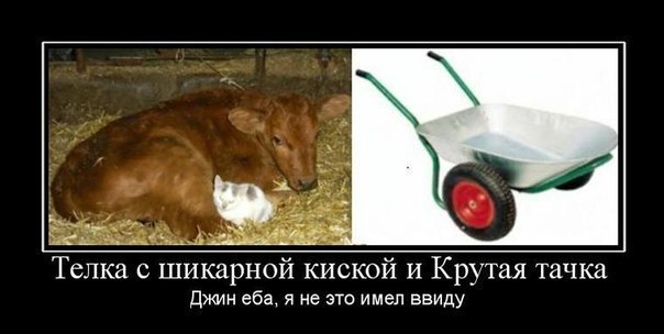 Олег Славгородский | Ногинск