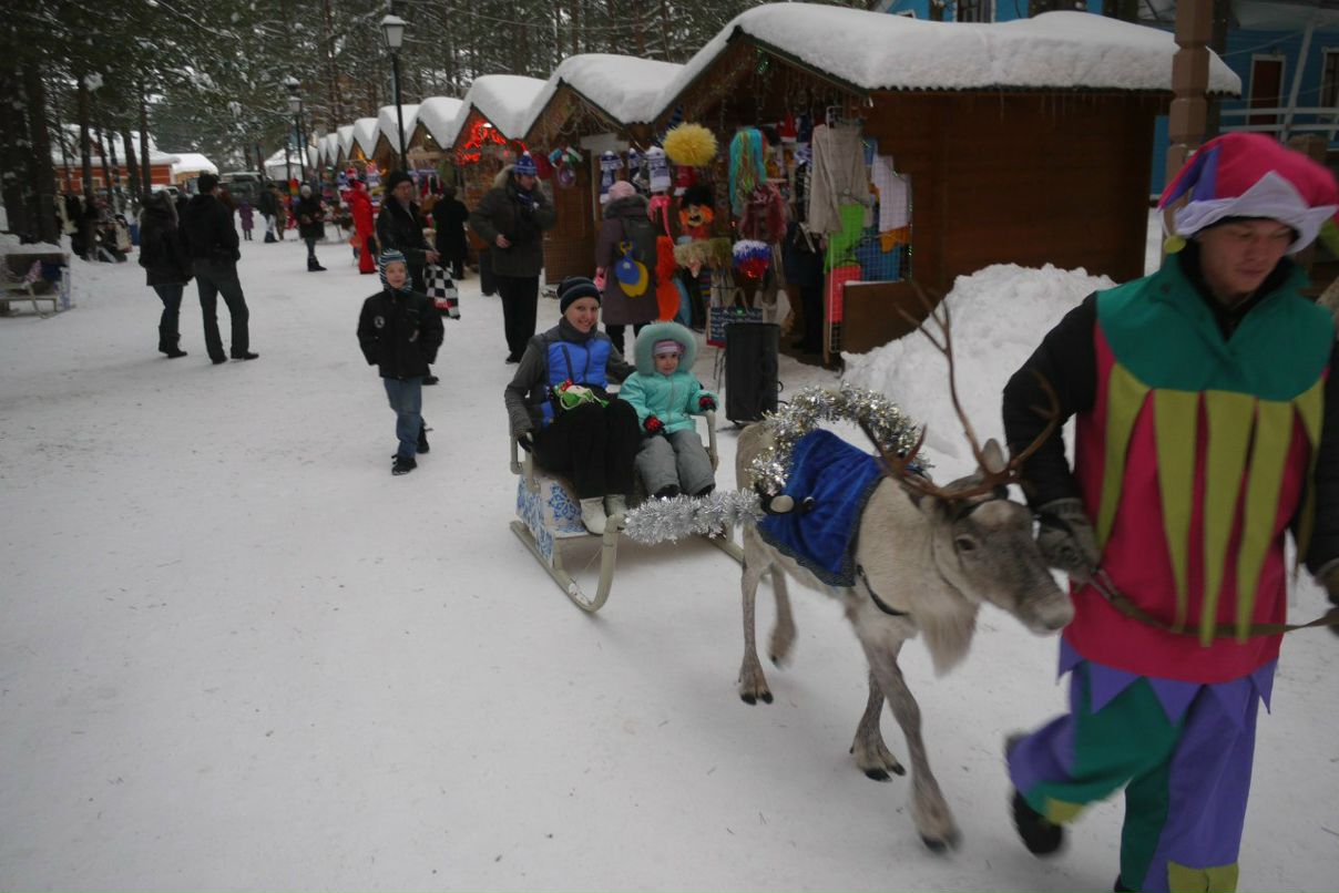 Катеринка Аверьянова | Люберцы