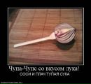 Фотография Тимоха Тимоха