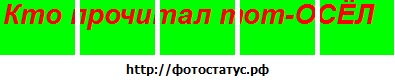 №41, Даниил Шестак, 27 лет, Красноярск №41, Даниил Шестак, 27 лет, Красноярск