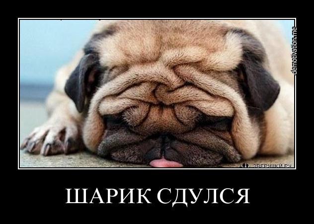 Александра Воронкова | Донецк