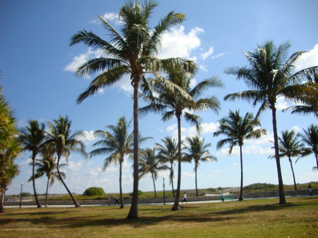 Andre Rodrigue | Sandusky