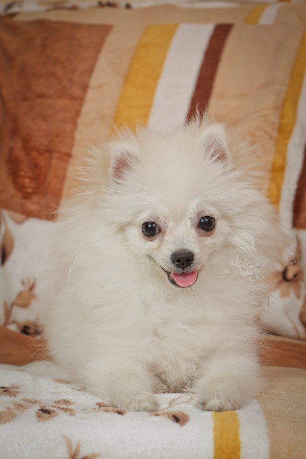 Макс Max | Москва