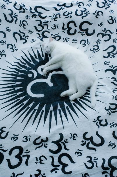 №142, Дмитрий Годун, 36 лет, Москва №142, Дмитрий Годун, 36 лет, Москва