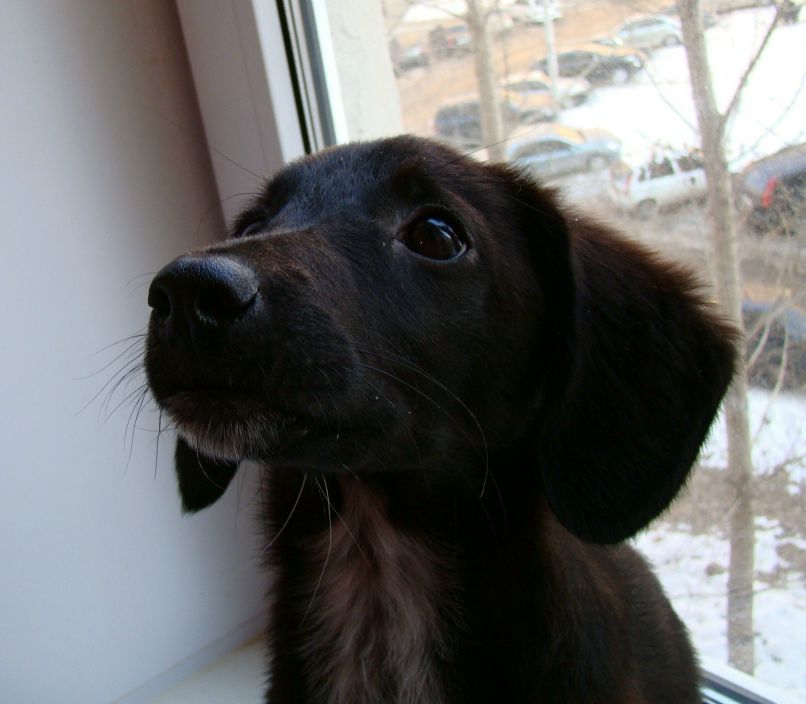 Елена Волкова | Уфа