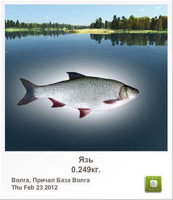 Сергей Иванов | Великий Новгород