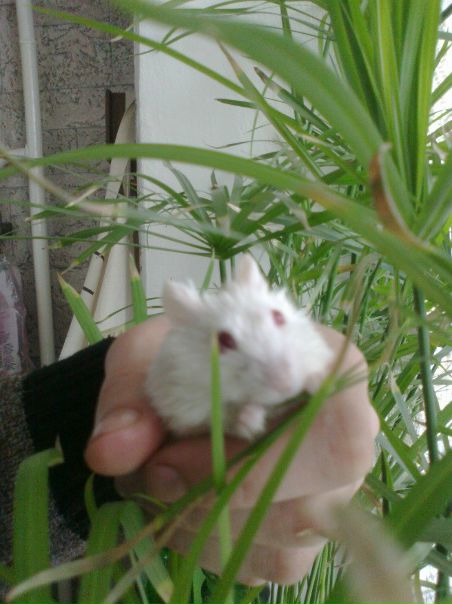 №103, Ольга Ступина, 35 лет, Борисоглебск №103, Ольга Ступина, 35 лет, Борисоглебск