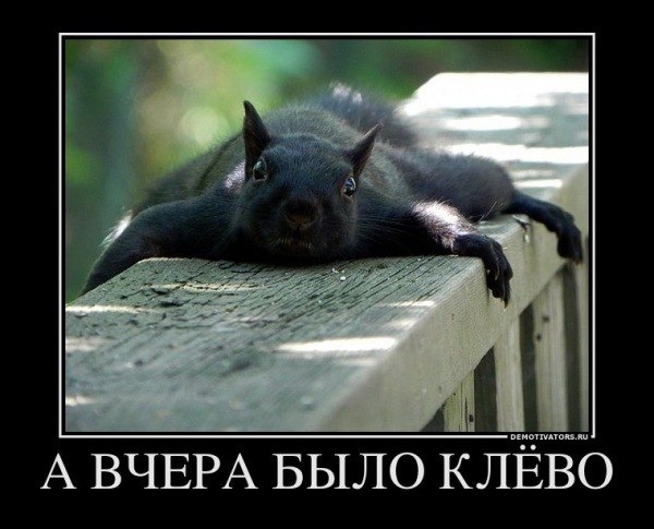 Дима Опанасенко | Славутич