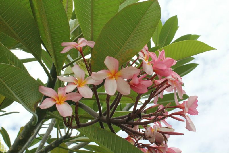 Гоша Проскуряков | Москва