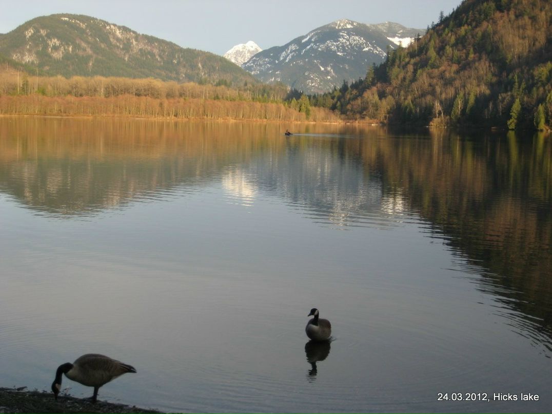 Liuba Ripa | Vancouver