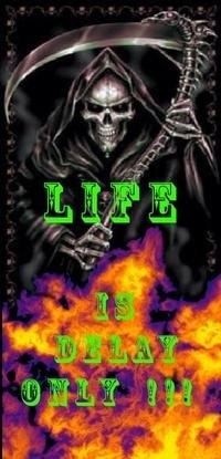 Дмитрий Гареев | Волгоград