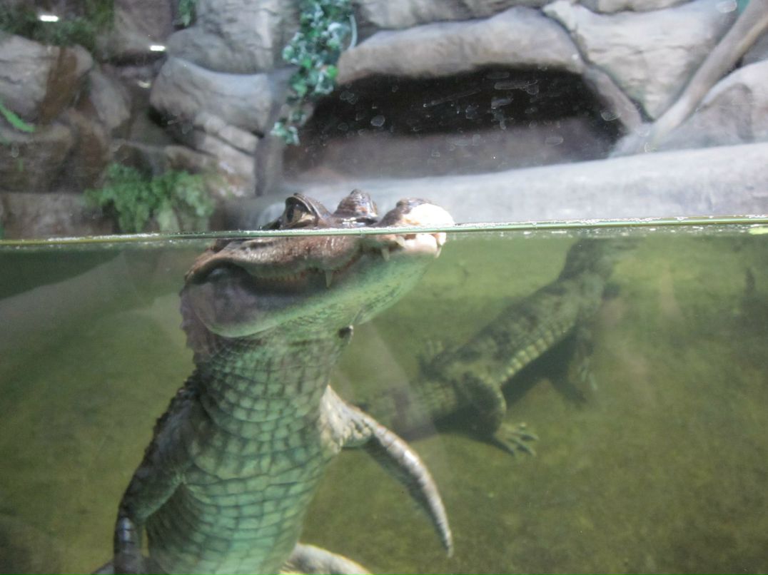 Олег Кирьяков | Москва