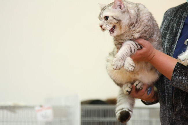 Андрей Шопша | Сыктывкар