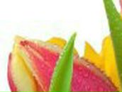 Полина Ситник | Днепр (Днепропетровск)