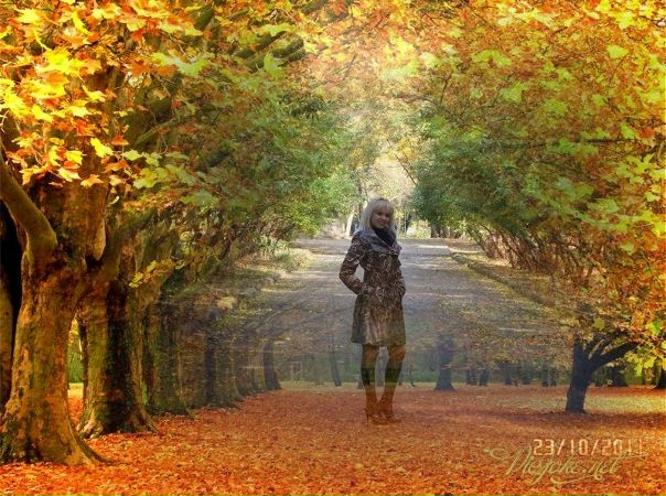 №41, Анна Довгань, Днепр (Днепропетровск) №41, Анна Довгань, Днепр (Днепропетровск)