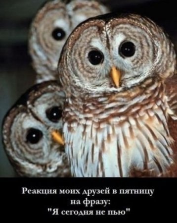 №100, Сергій Ковальов №100, Сергій Ковальов