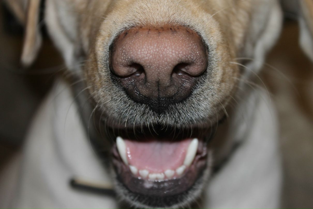 Виктория Присяжная | Киев