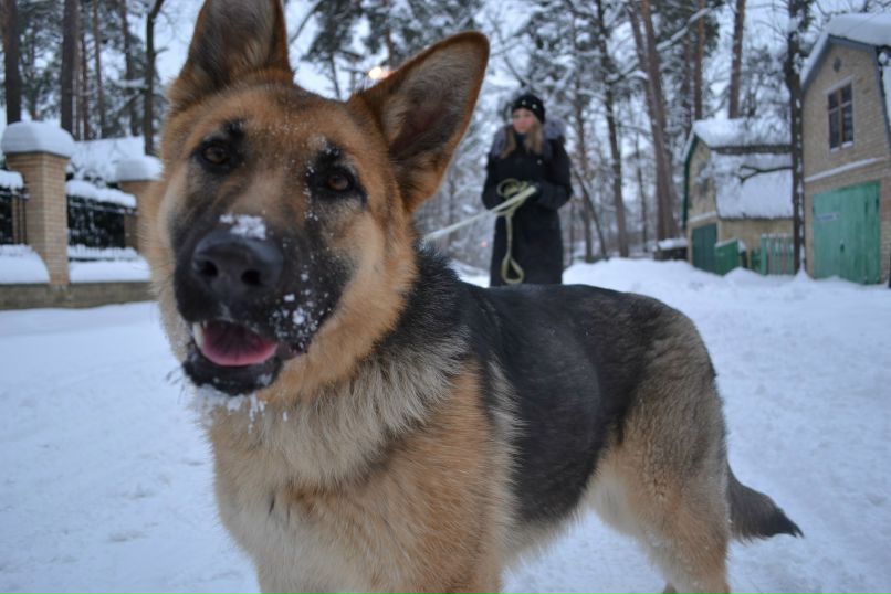 Ксюша Корнюшко | Киев