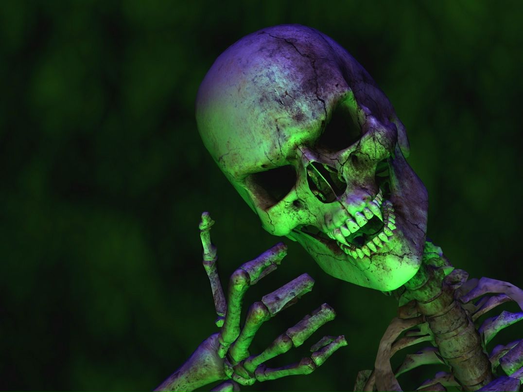 Андрей Васильев | Санкт-Петербург