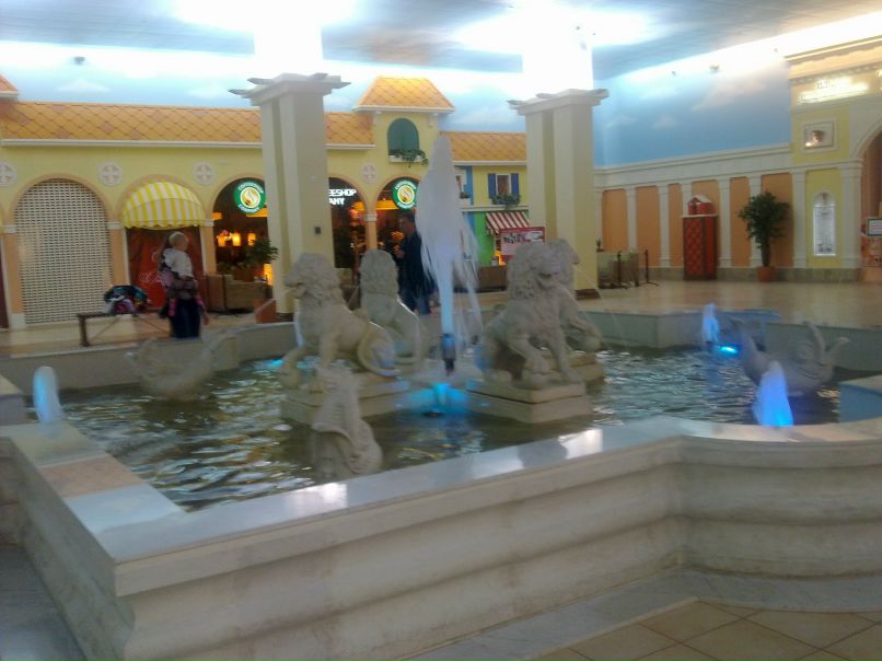 Елена Шабышева | Пикалево